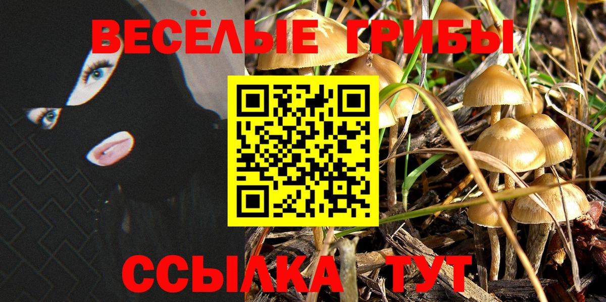 Псилоцибиновые грибы ЛСД Выборг