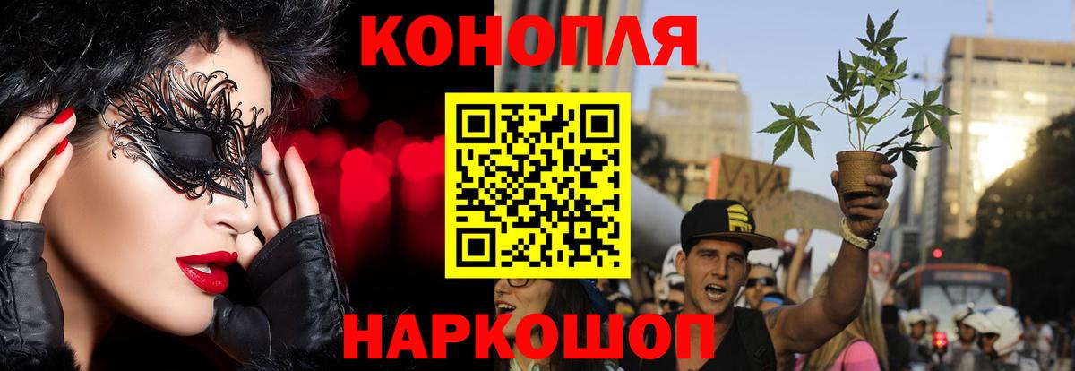 Бошки марихуана план Выборг
